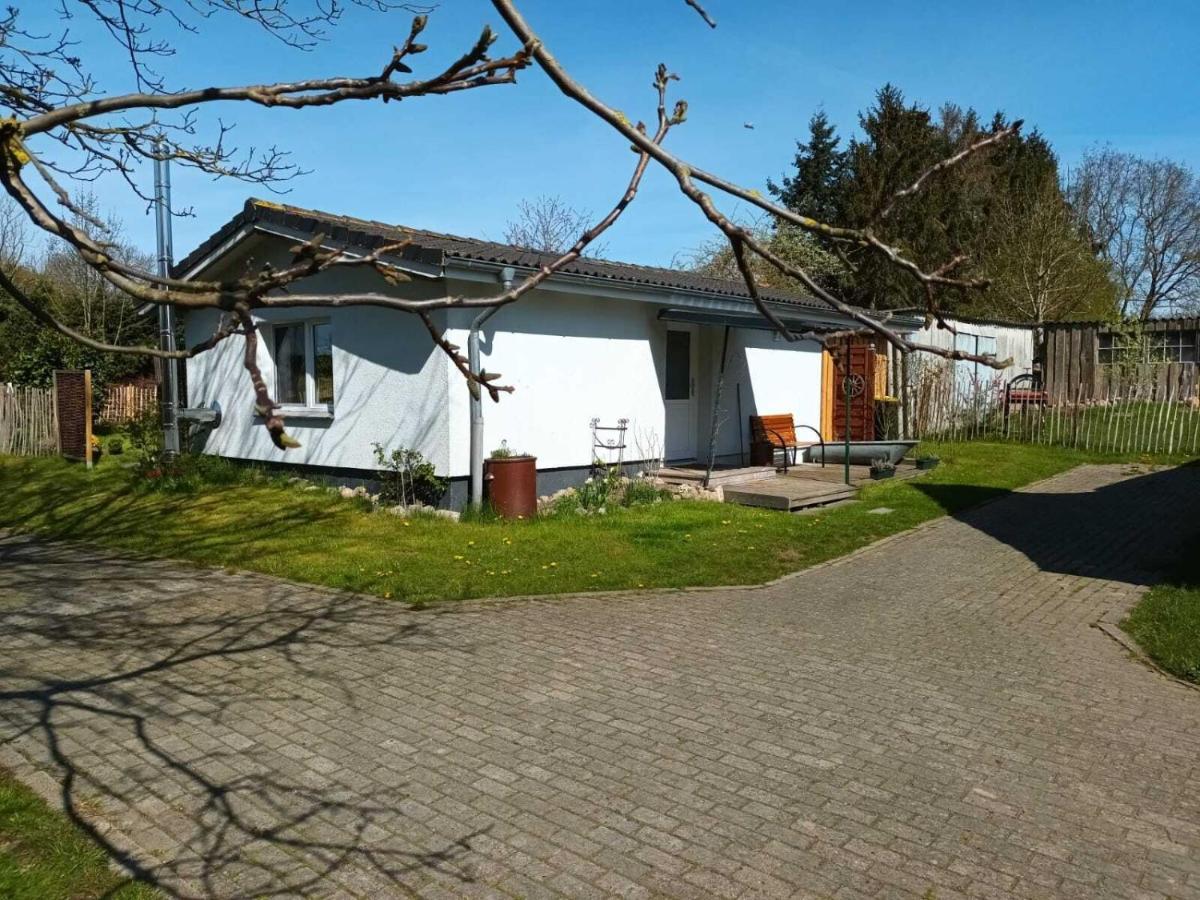 Villa Apfelhof à Grundshagen Extérieur photo